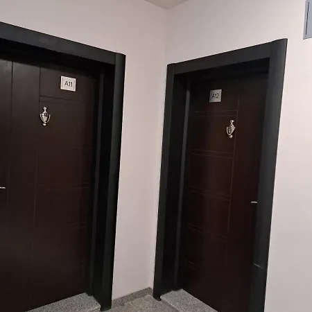 2 * Πάζαρτζικ